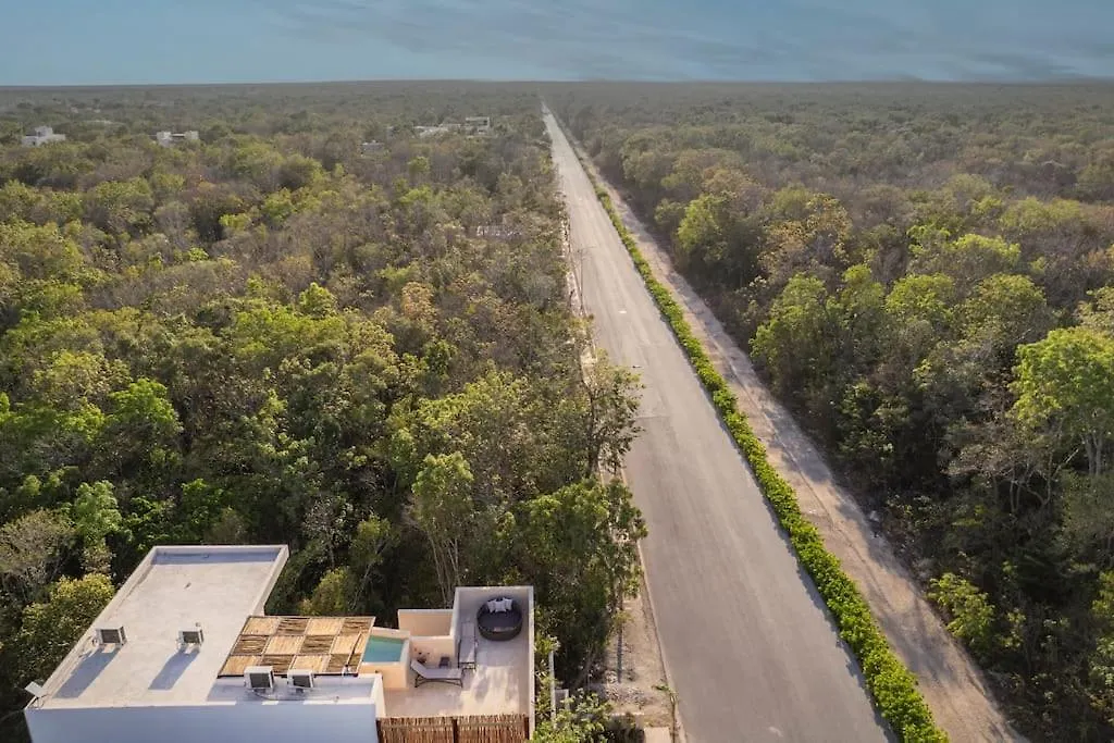 Brand New Lux 4 Bed Villa 2 Pools! Tulum Apartment